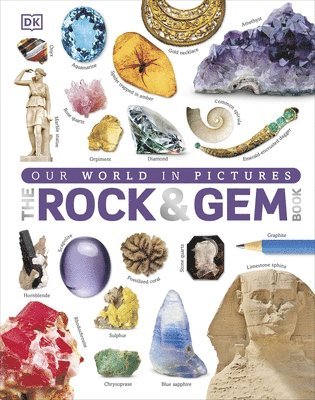 bokomslag Our World in Pictures: The Rock and Gem Book