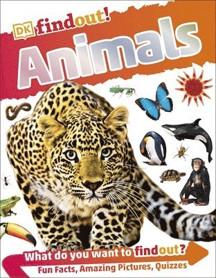 bokomslag DKfindout! Animals