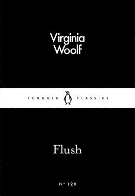 bokomslag Flush