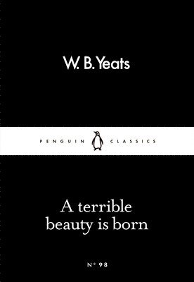 bokomslag Terrible Beauty Is Born