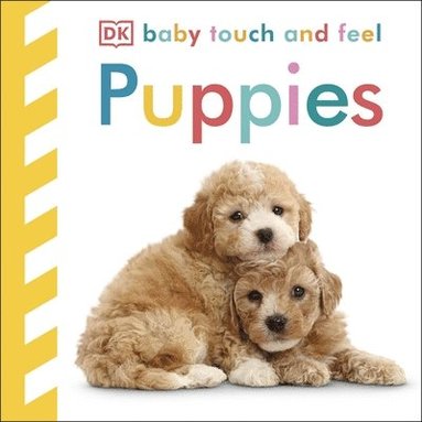 bokomslag Baby Touch and Feel: Puppies