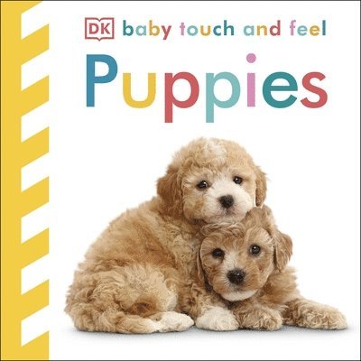 Baby Touch and Feel: Puppies 1