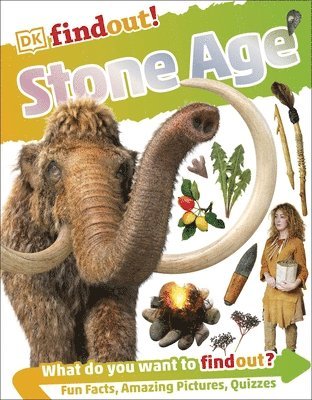 bokomslag DKfindout! Stone Age