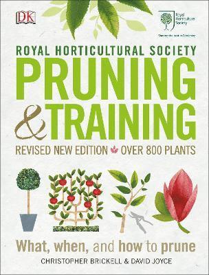 RHS Pruning and Training 1
