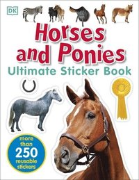 bokomslag Horses and Ponies Ultimate Sticker Book