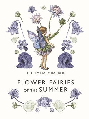 bokomslag Flower Fairies of the Summer