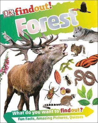 DKfindout! Forest 1
