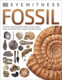 bokomslag Fossil