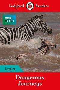 bokomslag Ladybird Readers Level 4 - BBC Earth - Dangerous Journeys (ELT Graded Reader)