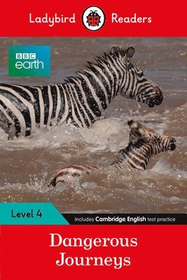 Ladybird - Ladybird Readers Level 4 - BBC Earth - Dangerous Journeys (ELT Graded Reader), Häftad