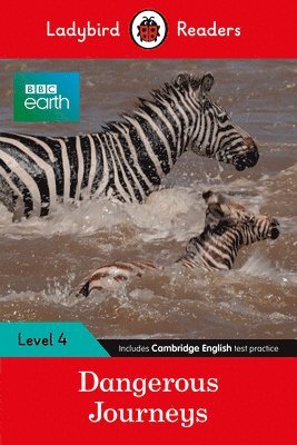 bokomslag Ladybird Readers Level 4 - BBC Earth - Dangerous Journeys (ELT Graded Reader)