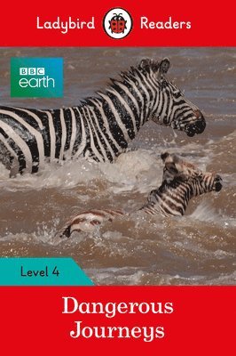 Ladybird Readers Level 4 - BBC Earth - Dangerous Journeys (ELT Graded Reader) 1