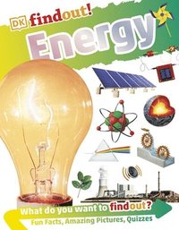 bokomslag DKfindout! Energy