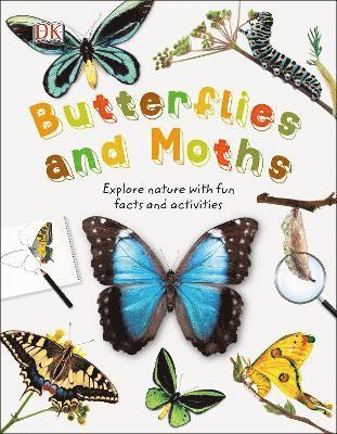 Butterflies and Moths 1