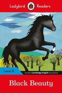 bokomslag Black Beauty Ladybird Readers Level 6