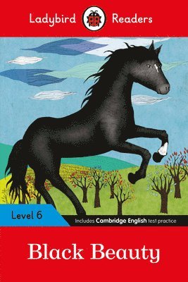 bokomslag Ladybird Readers Level 6 - Black Beauty (ELT Graded Reader)