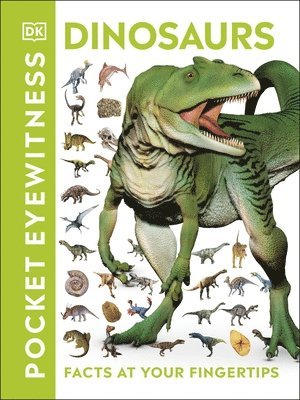 Pocket Eyewitness Dinosaurs 1