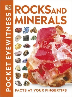 bokomslag Pocket Eyewitness Rocks and Minerals