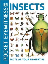 bokomslag Pocket Eyewitness Insects