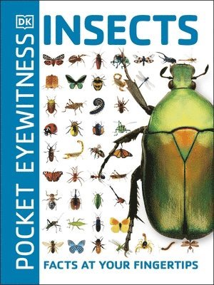 Pocket Eyewitness Insects 1