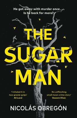 bokomslag Sugar Man
