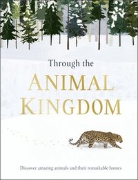 bokomslag Through the Animal Kingdom