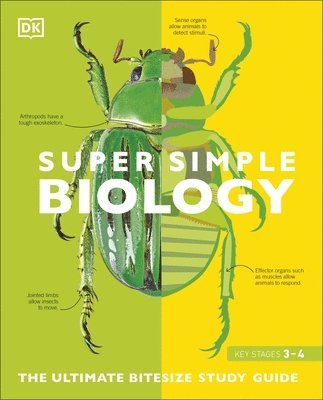 bokomslag Super Simple Biology