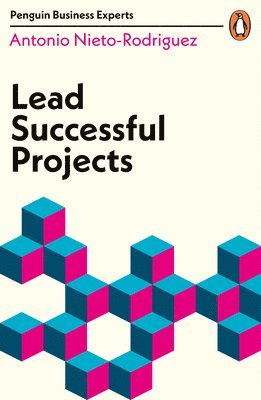 Antonio Nieto-Rodriguez - Lead Successful Projects, Häftad