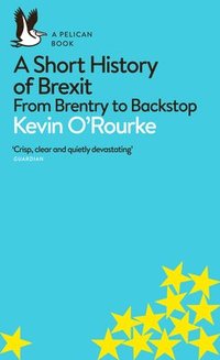 bokomslag A Short History of Brexit