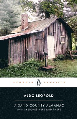 Aldo Leopold - Sand County Almanac, Häftad