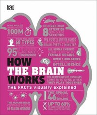 bokomslag How the Brain Works