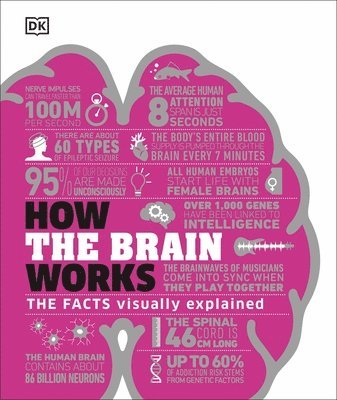 How the Brain Works 1