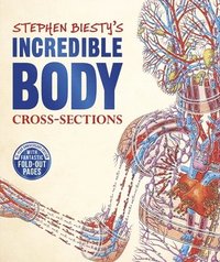 bokomslag Stephen Biesty's Incredible Body Cross-Sections