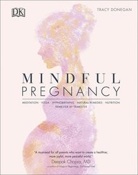 bokomslag Mindful Pregnancy