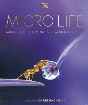 Micro Life 1