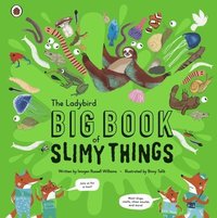 bokomslag The Ladybird Big Book of Slimy Things