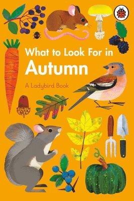 What to Look For in Autumn 1