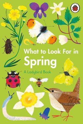 Elizabeth Jenner - What to Look For in Spring, Inbunden