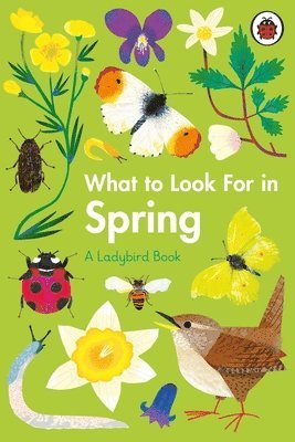 What to Look For in Spring 1