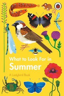 Elizabeth Jenner - What to Look For in Summer, Inbunden