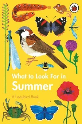 What to Look For in Summer 1
