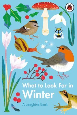 Elizabeth Jenner - What to Look For in Winter, Inbunden