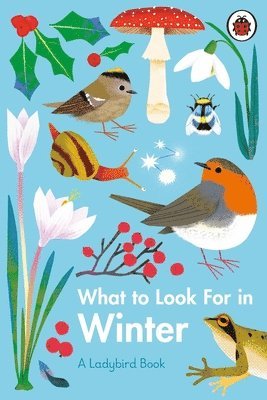 What to Look For in Winter 1