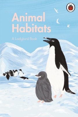 Ladybird Book: Animal Habitats, Inbunden