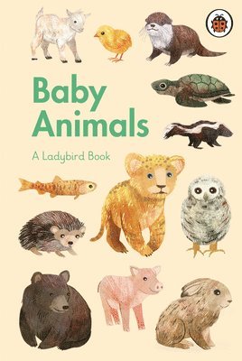 Ladybird Book: Baby Animals, Inbunden