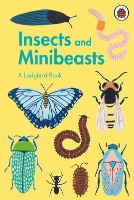 Ladybird Book: Insects and Minibeasts, Inbunden