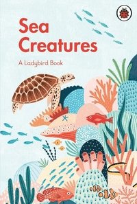 bokomslag A Ladybird Book: Sea Creatures