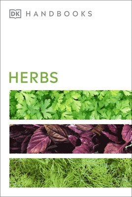 bokomslag Herbs