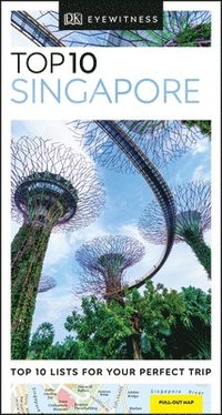 bokomslag Singapore Top 10