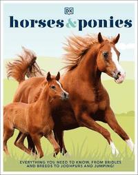 bokomslag Horses & Ponies